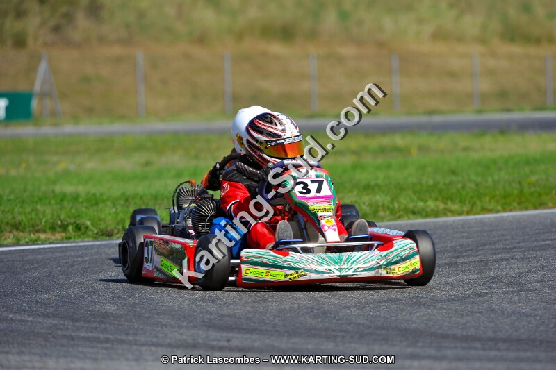 DSC_ (1298).jpg